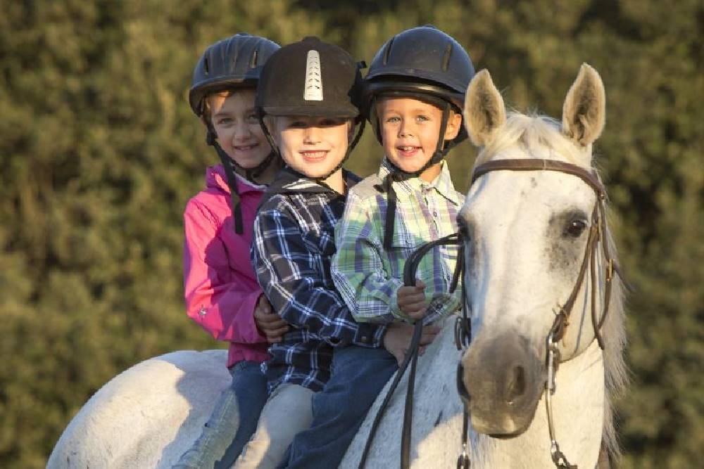 Məktəbli turu - Elite Horse and Polo Club
