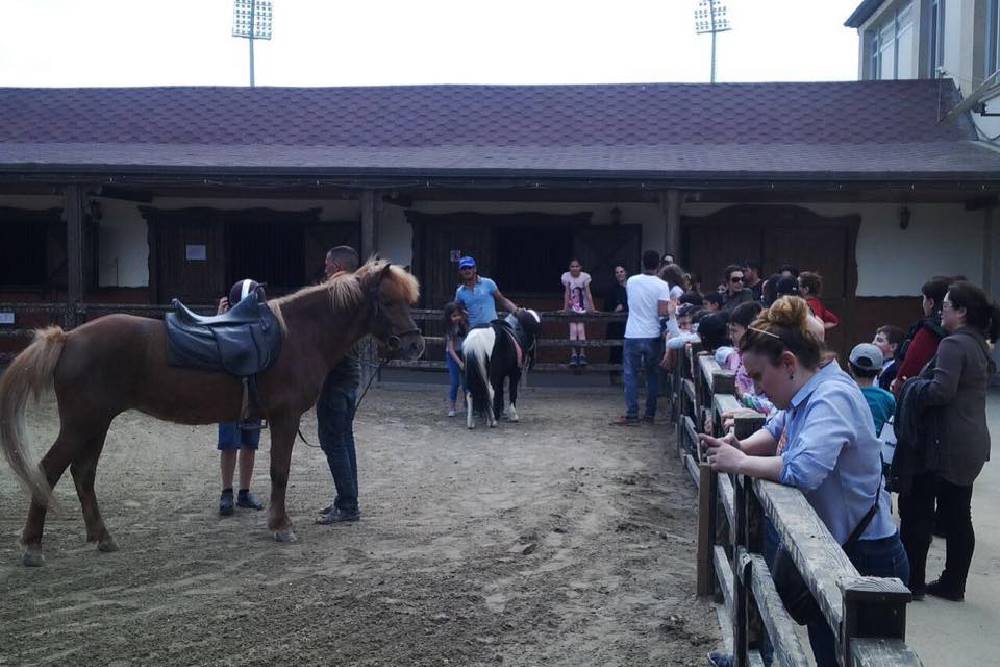 Məktəbli turu - Elite Horse and Polo Club