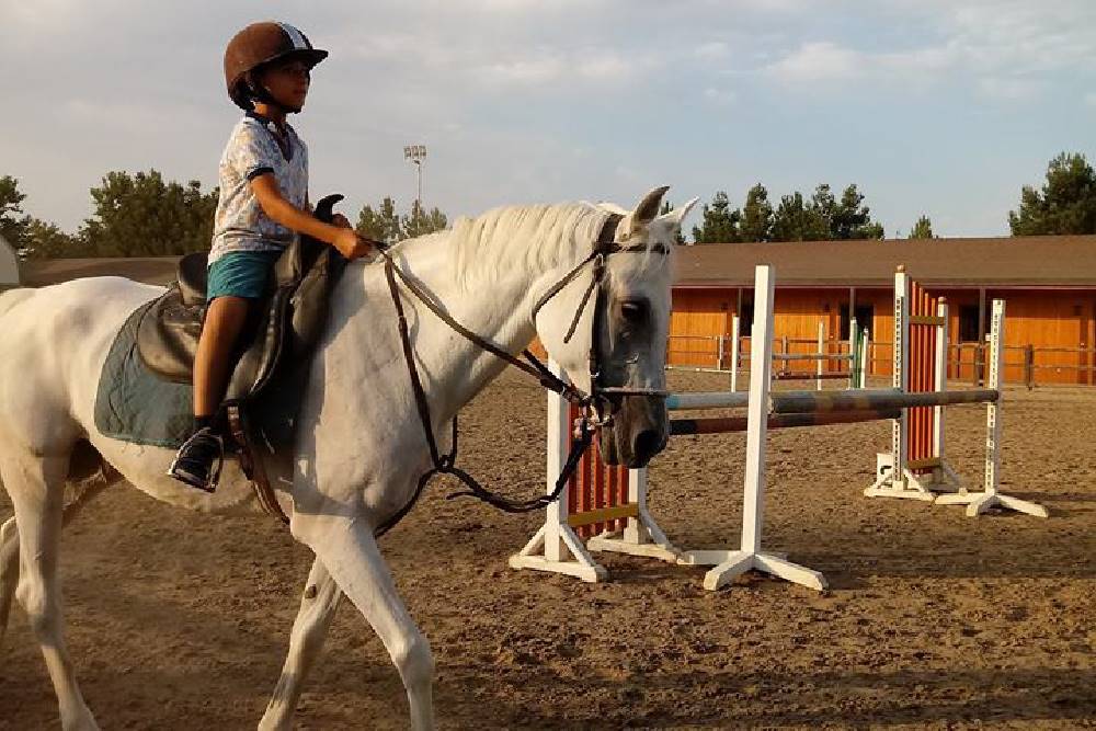 Məktəbli turu - Elite Horse and Polo Club