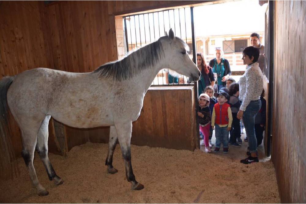 Məktəbli turu - Elite Horse and Polo Club