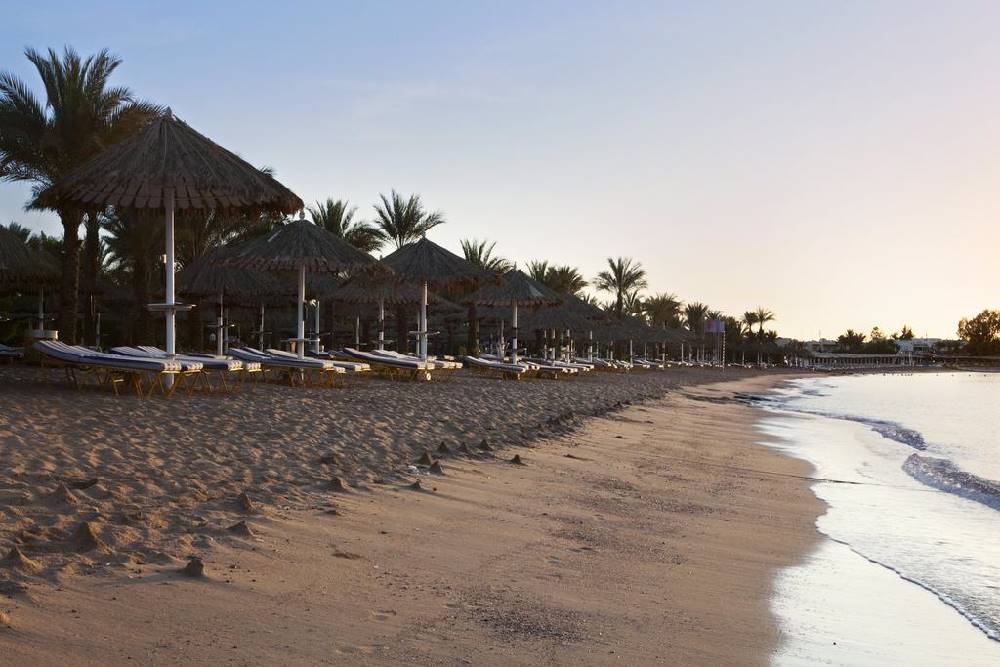 Sharm El Sheikh " Jaz Sharm Dreams Resort "  Misir