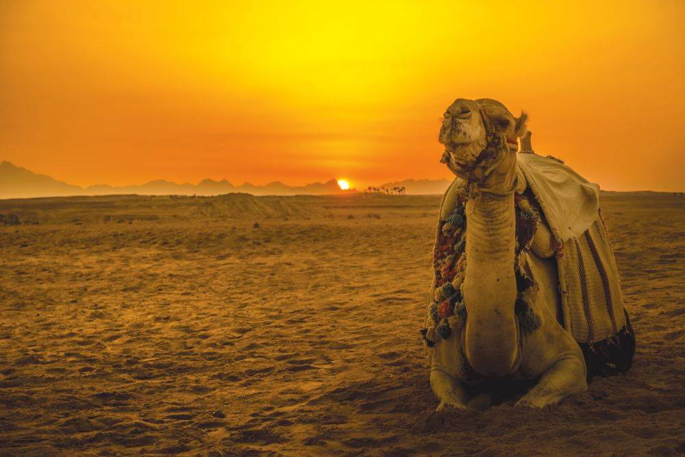  Bakıdan bir başa uçuş ilə Sharm El Sheikh səyahəti...Misir